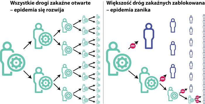 Kiedy epidemia przestaje się rozwijać?