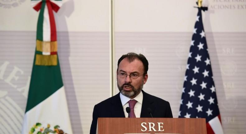 Mexican Foreign Minister Luis Videgaray noted that if Trump places tariffs on Mexican goods, it would hit US households that buy all sorts of products from south of the border, including avocados, cars, phones and appliances