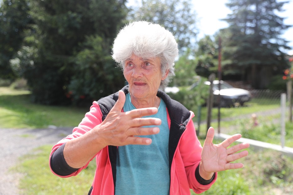 Julika szerint a megtámadott férfi a fejszével leüthette volna az állatot /Fotó: Zsolnai Péter