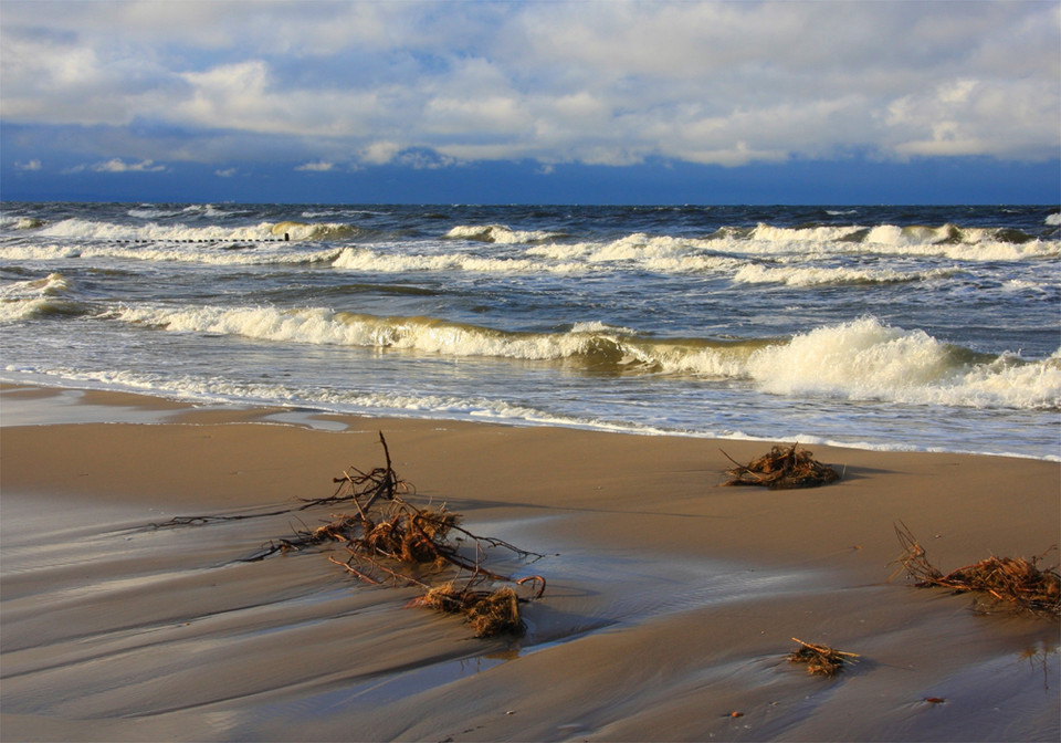 Polskie plaże 2010 - wyniki głosowania - 20