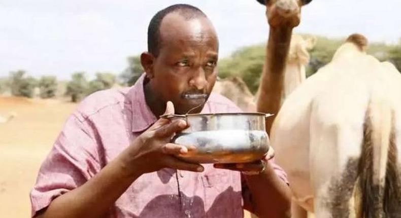 Majority Leader in National Assembly Aden Duale. He led the MPs in demand for expensive food in parliament