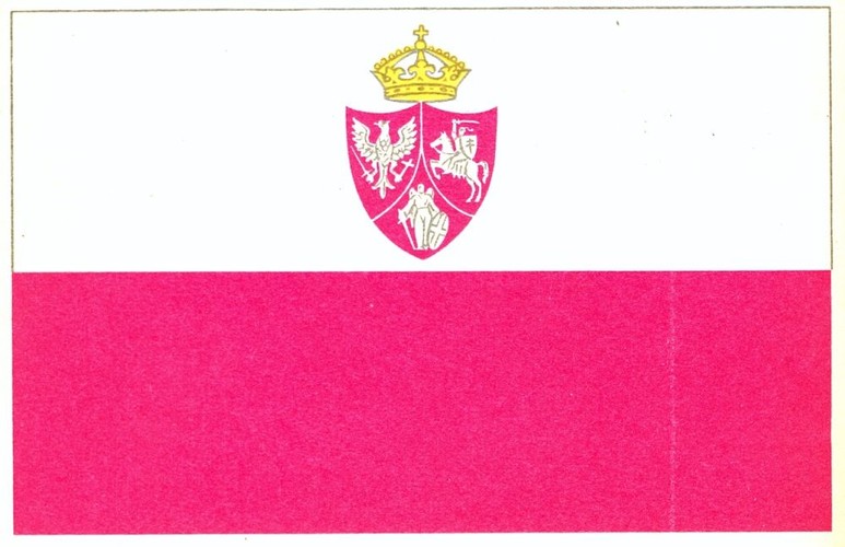 Bandera floty polskiej z powstania styczniowego