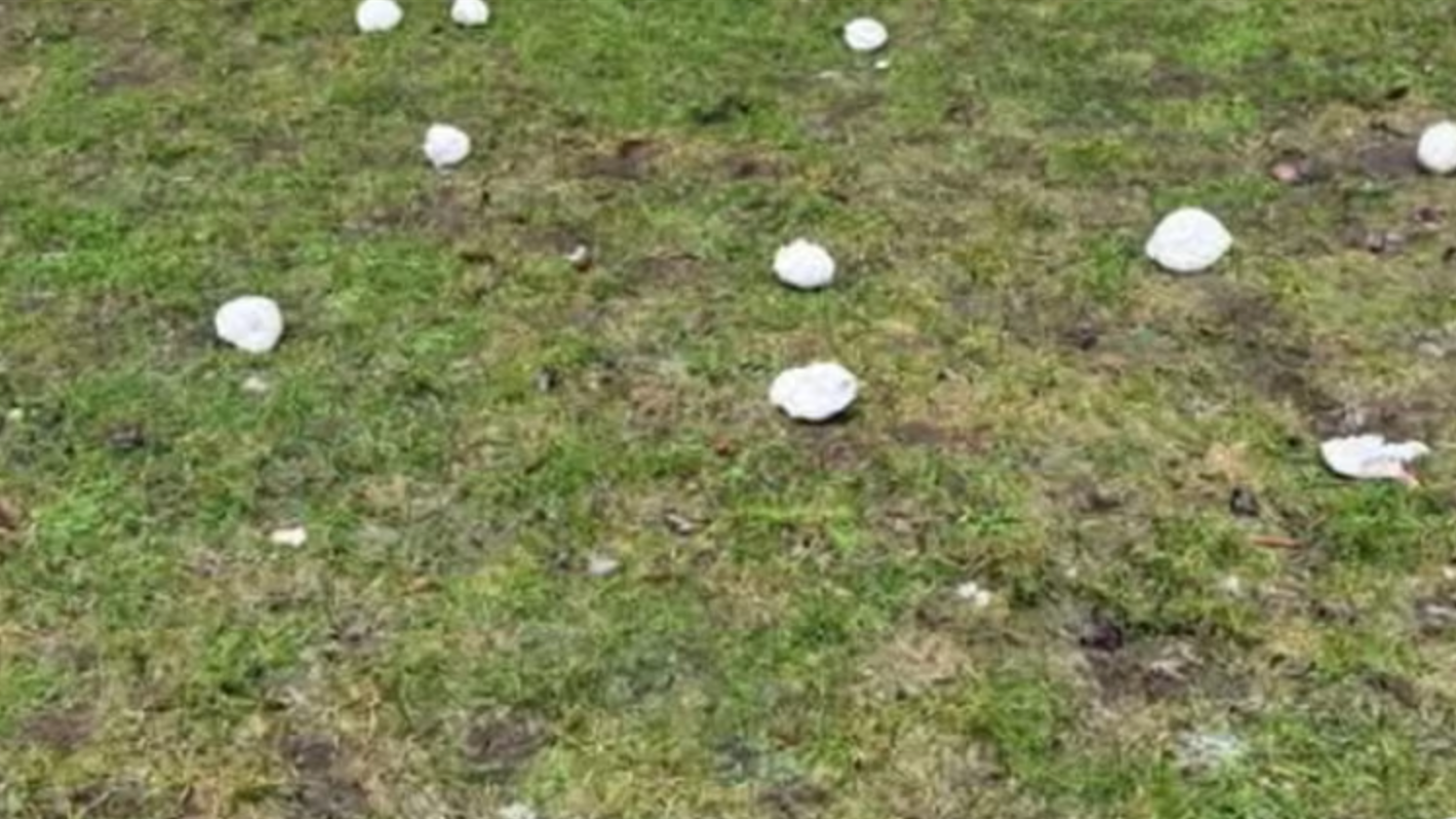 Príspevok o bizarnom náleze okamžite zaplavil sociálne siete a získal si pozornosť stoviek používateľov.