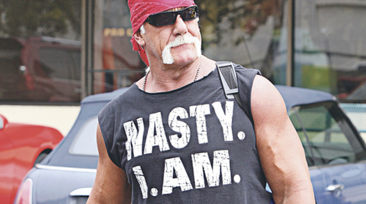 Lerobbant Hulk Hogan