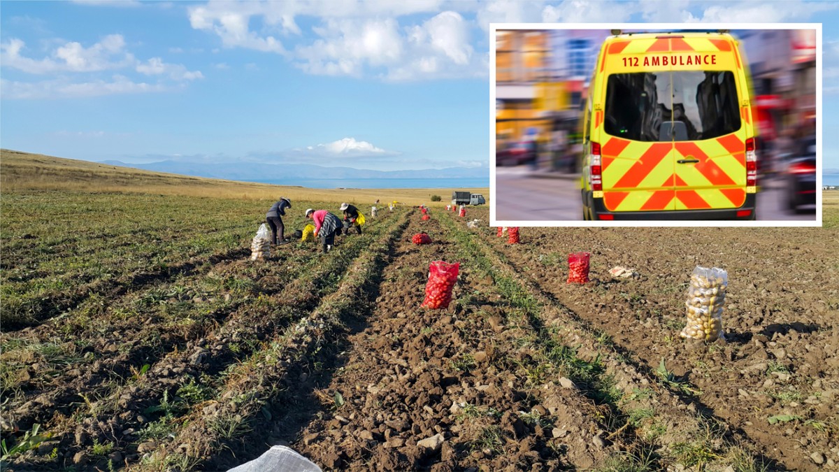 Tragedia Polaka w Belgii. Pracownik sezonowy zmarł na polu. Winny upał?