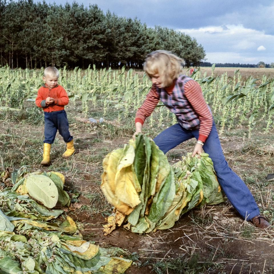 Zdjęcie z fotoreportażu "Poniżej średniej" (1981)