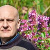 Majčina dušica se smatra jednom od najstarijih lekovitih biljaka
