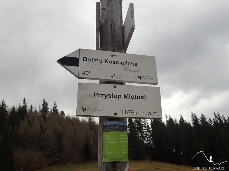 Przysłop Miętusi (1187 m n.p.m.)