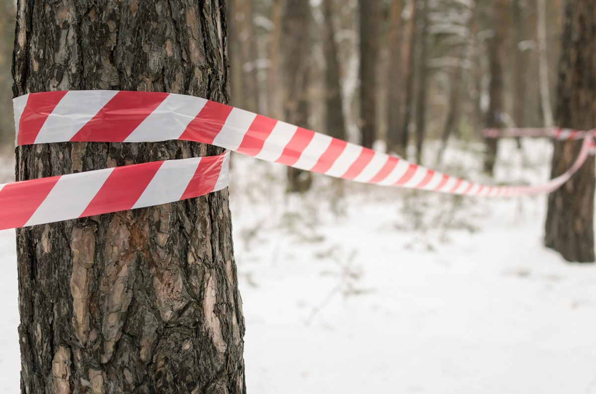 Taśma policyjna, policja, zabójstwo, las, zima