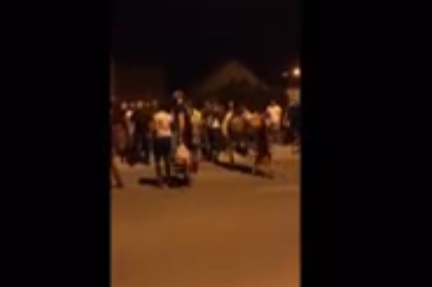 "Srbska čast" je potpuno bespravno oduzela životinju porodici