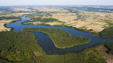 Tam, gdzie rosną konwalie