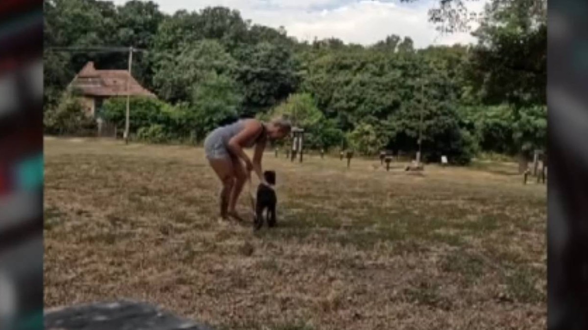 Undorító: megpofozta, leköpte a kiskutyáját tanító nőt egy agresszív férfi - videó