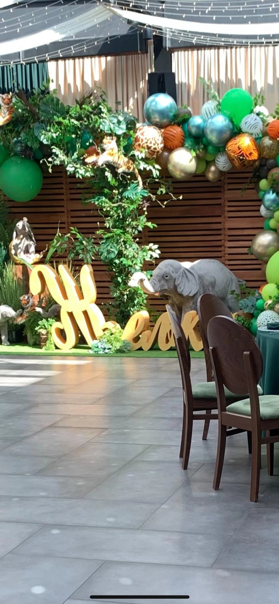 Željko Ražnatović rođendan