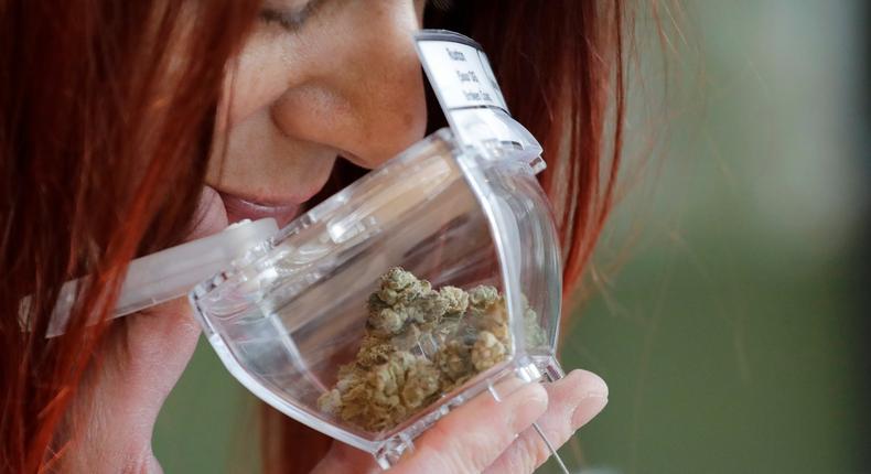 In this Wednesday, Oct. 9, 2019 photo, a customer sniffs a display sample of marijuana, in a tamper-proof container secured with a cable, sold at Evergreen Cannabis, a marijuana retail shop, in Vancouver, B.C. One year into Canadas experiment in legal marijuana, hundreds of legal pot shops have sprung up. But many people still buy their weed on the sly, because taxes and other issues mean that craft marijuana costs nearly twice what it did before legalization. (AP Photo/Elaine Thompson)