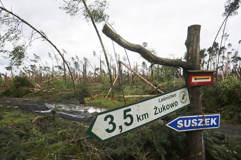 W nocy z piątku na sobotę na terenie obozu harcerskiego w miejscowości Suszek rozegrała się tragedia. Towarzyszący burzom huraganowy wiatr kompletnie zniszczył i odciął obóz od świata (drogi zatarasowały wiatrołomy). Powalone drzewa przygniotły dwie harcerki w wieku 13 i 14 lat, nastolatki zginęły. Różnych obrażeń doznało też 38 innych uczestników obozu.