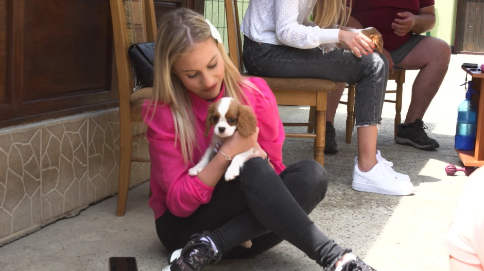 Sara - Moj savršeni ljubimac 