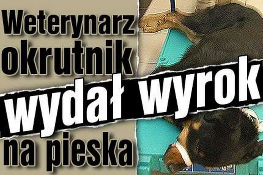 Weterynarz okrutnik wydał wyrok na pieska