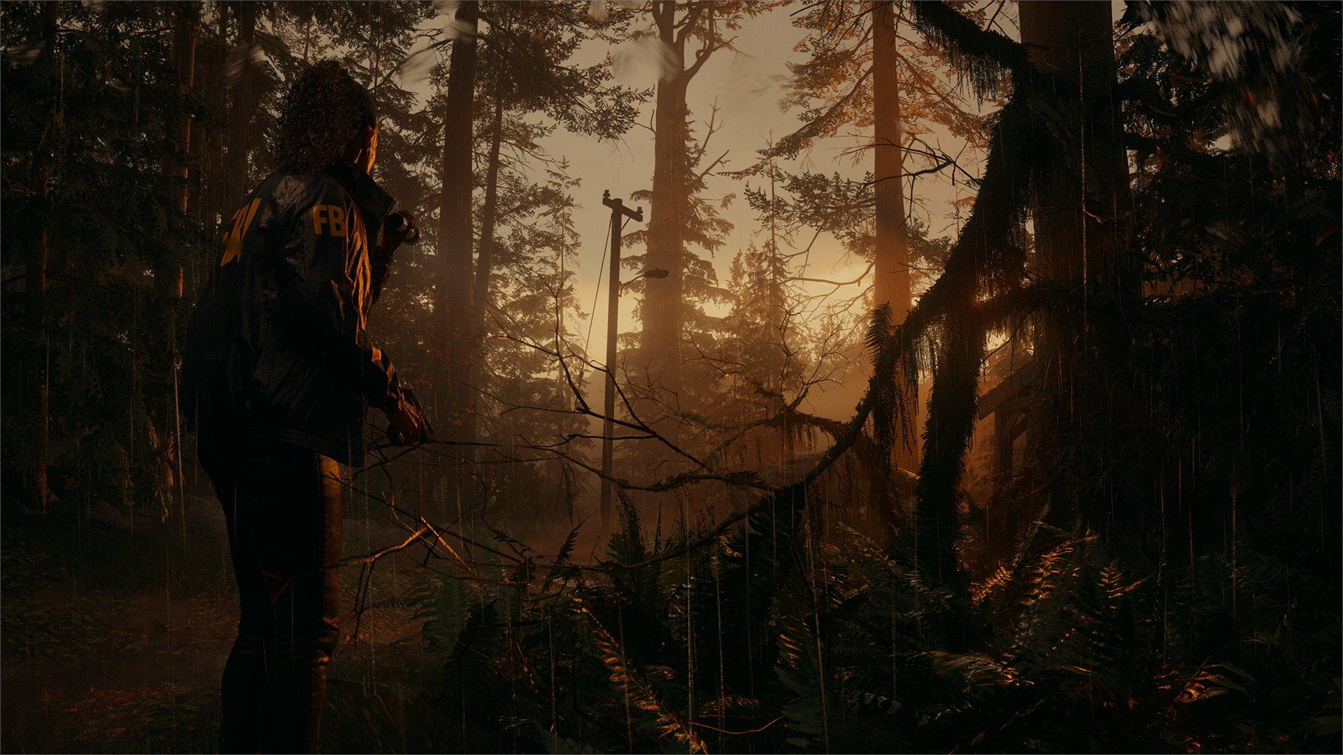 Oficiálny obrázok z hry Alan Wake 2.