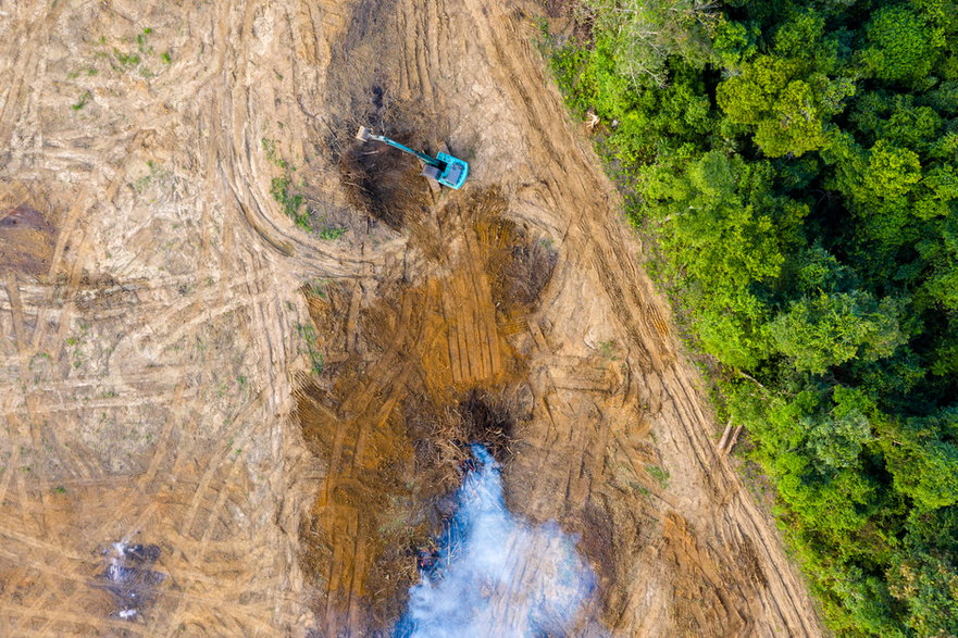 Deforestacja osiągnęła rekordowy poziom w Amazonii