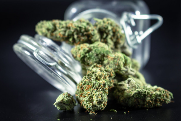 Bundestag zdecydował o legalizacji marihuany