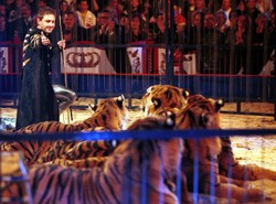 Terentiew robi cyrk w Polsacie