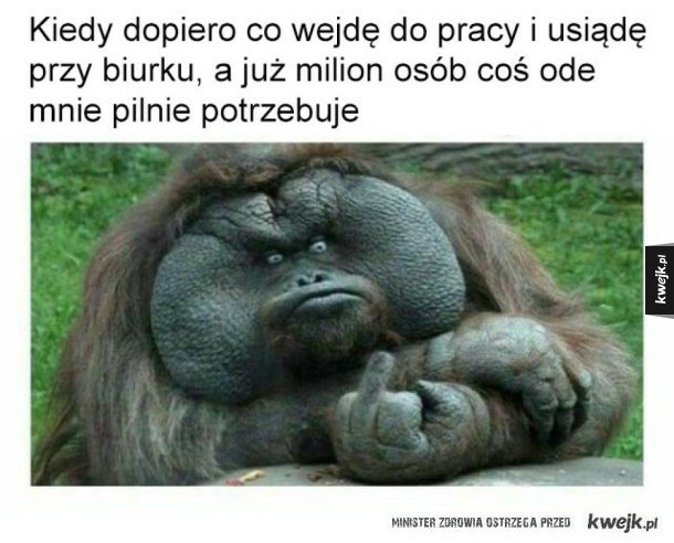 Najlepsze Memy O Pracy Popłaczesz Się Ze śmiechu Kobieta