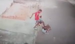 Dramatyczne sceny w Rio de Janeiro. Pitbull zaatakował dziecko. FILM