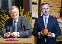 Ile prawdy jest w sondażach? Oto, jak sprawdzały się w przeszłości