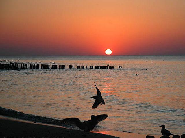 Galeria Najpiękniejsze plaże Polski, obrazek 20