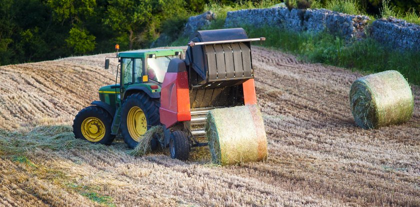 Mężczyzna nie wracał do domu. Na polu znaleziono jego ciało. Makabra w Polskiej Cerekwi