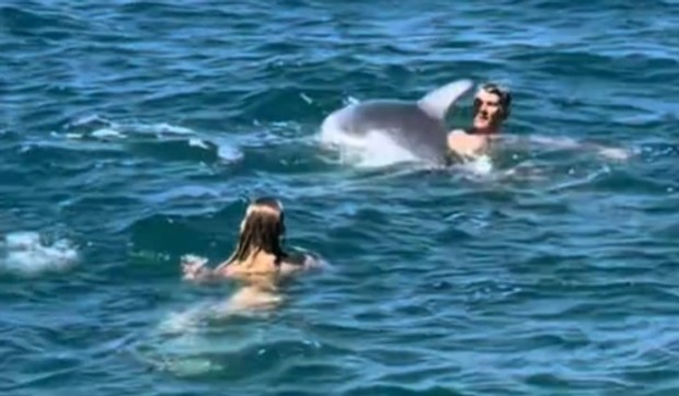 Delfin Oliver