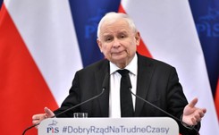 PiS rośnie w sondażu. Co z pozostałymi ugrupowaniami? SONDAŻ