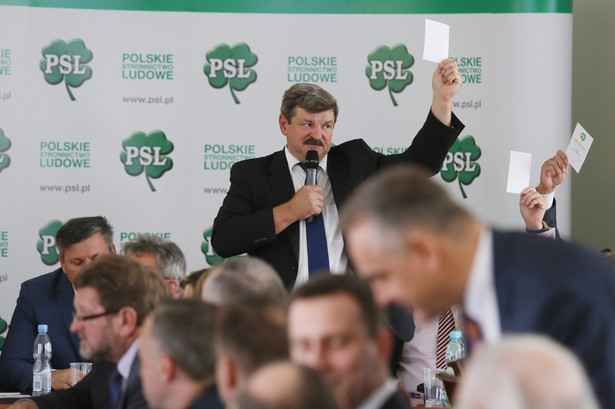 Kulisy Rady Naczelnej PSL: Kalinowski przeciw Piechocińskiemu