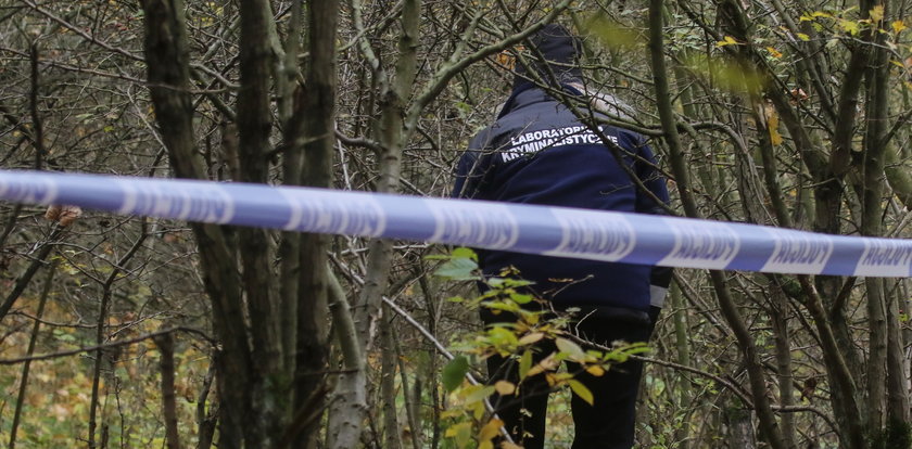 Zwłoki kobiety znalezione w lesie w Poznaniu
