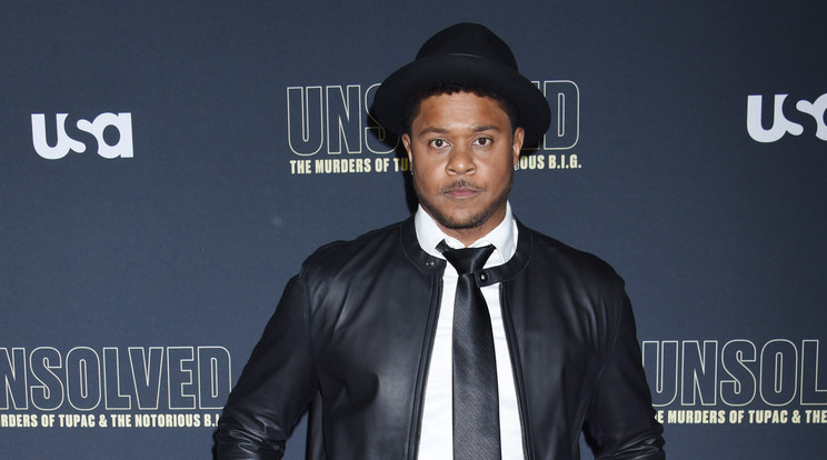 Pooch Hall / Fotó: Northfoto