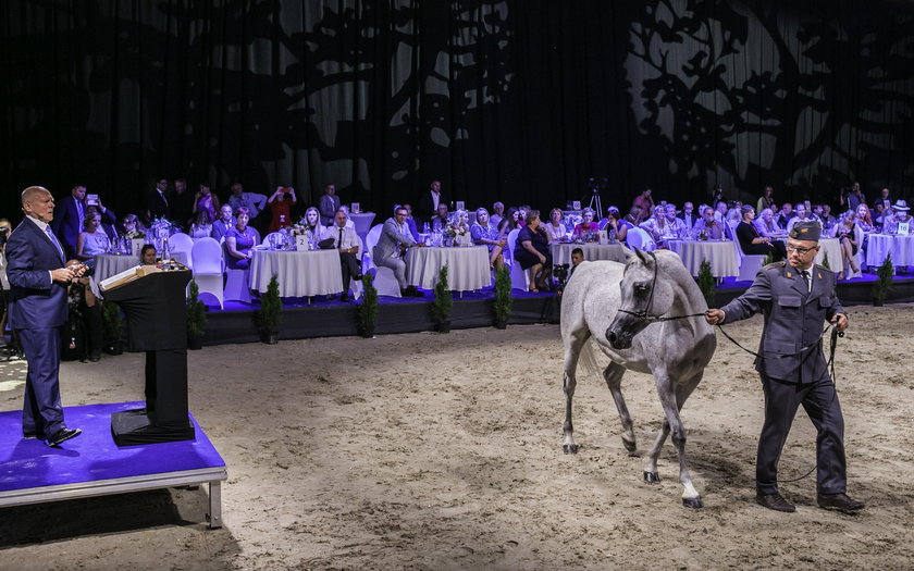 Popis chamstwa prezesa stadniny