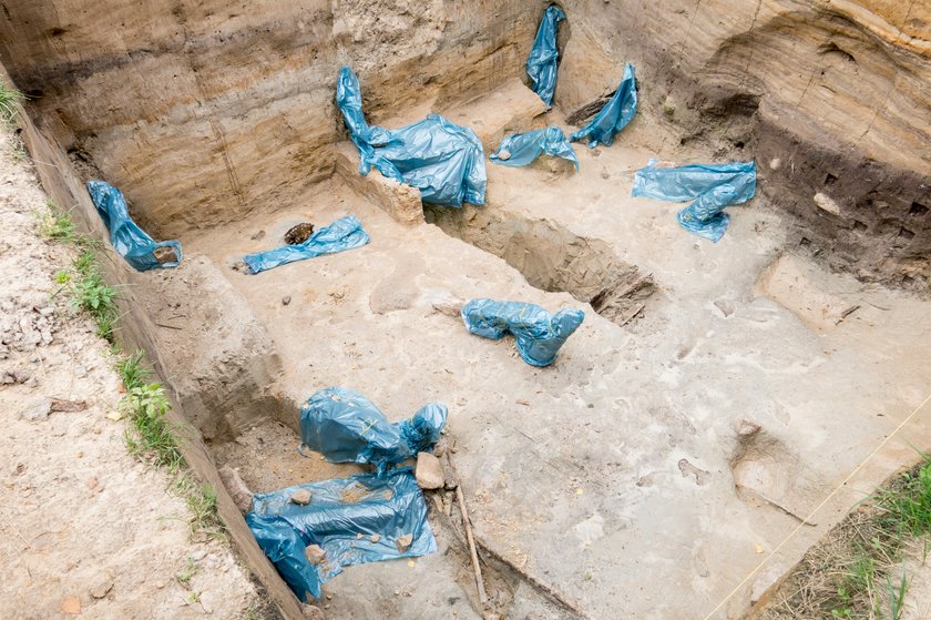 Odkrycia archeologów w Rudzie Śląskiej