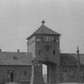 Auschwitz