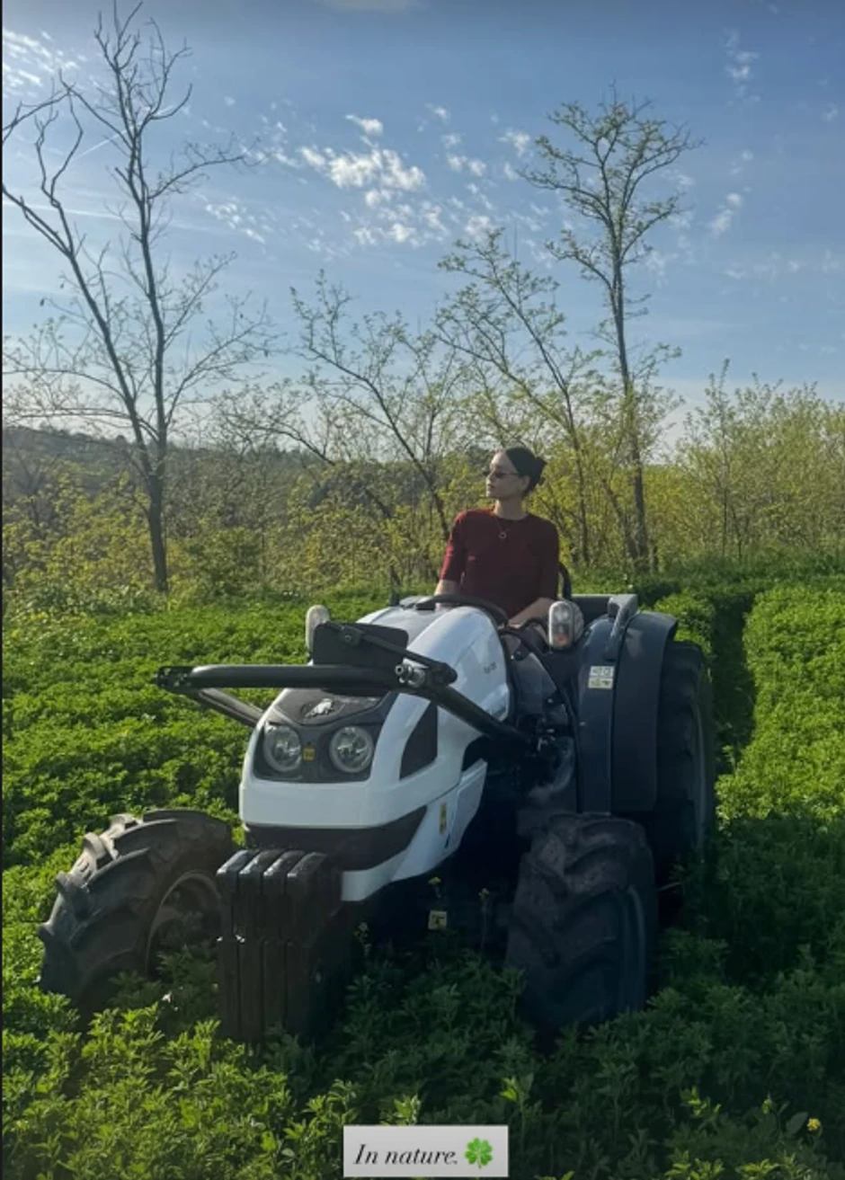 Mirka Vasiljević, objava