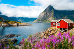 Zarobki powyżej 20 tys. i proste przepisy – zobacz jak założyć firmę w Norwegii