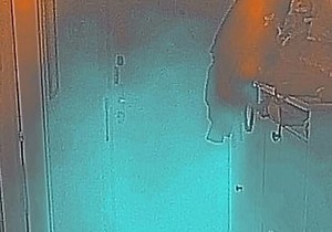 Snimak termalne kamere