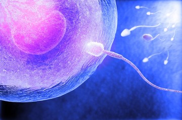 Egészséges sperma: ennyi minden befolyásolja a férfi termékenységet