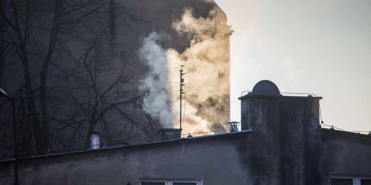 Poznań. Darmowa komunikacja miejska podczas smogu 