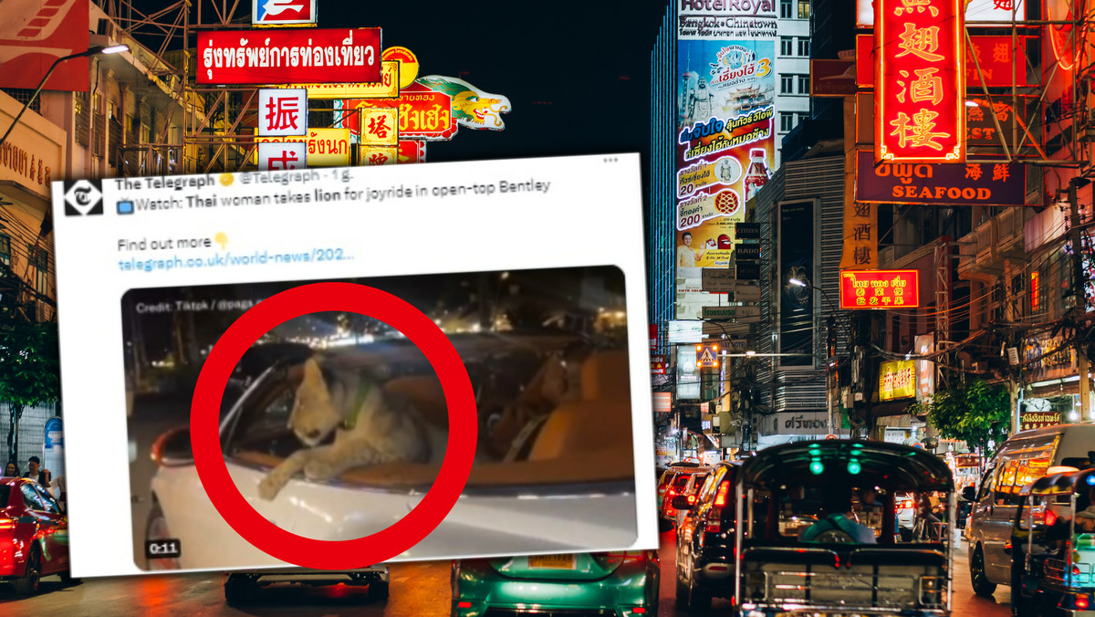 Nie mogli uwierzyć, kogo wiezie w samochodzie. Wideo z Tajlandii obiega świat