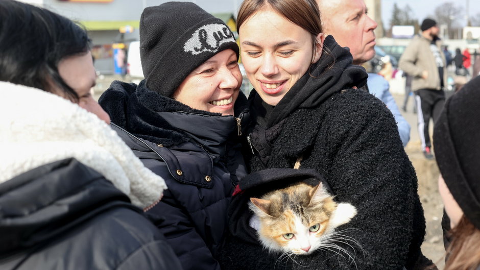 Zwierzęta na przejściu granicznym z Ukrainą w Medyce