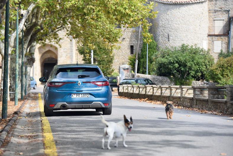 Renault Megane TCe 130 GT - zadziwiająco łatwa przeprawa!