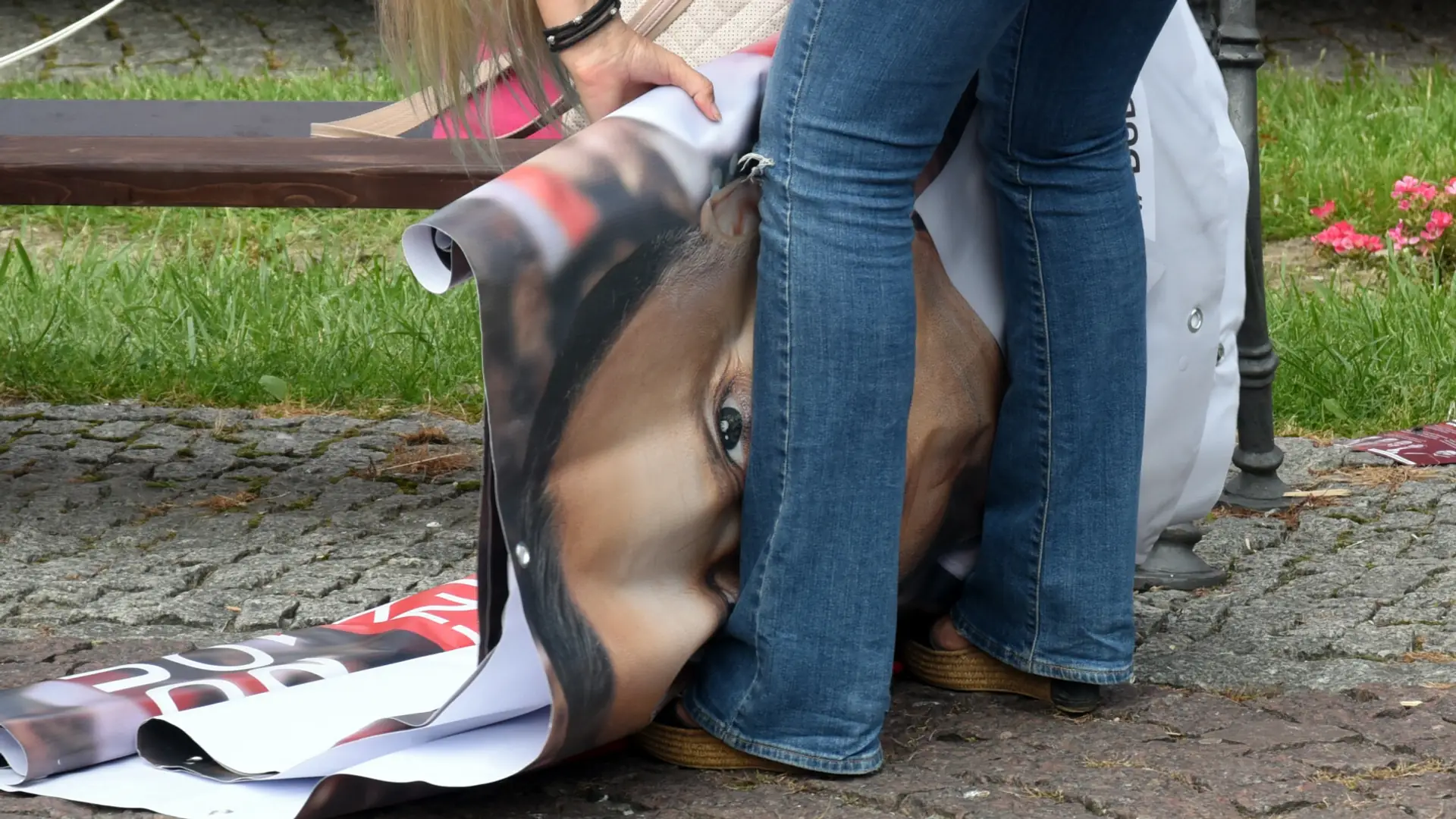 Nietypowy pomysł na recykling plakatów wyborczych. Służą m.in. zwierzętom