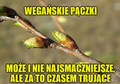 Memy na tłusty czwartek