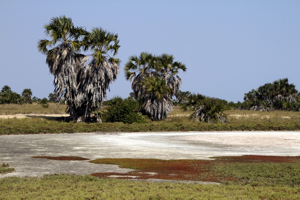 1. Angola