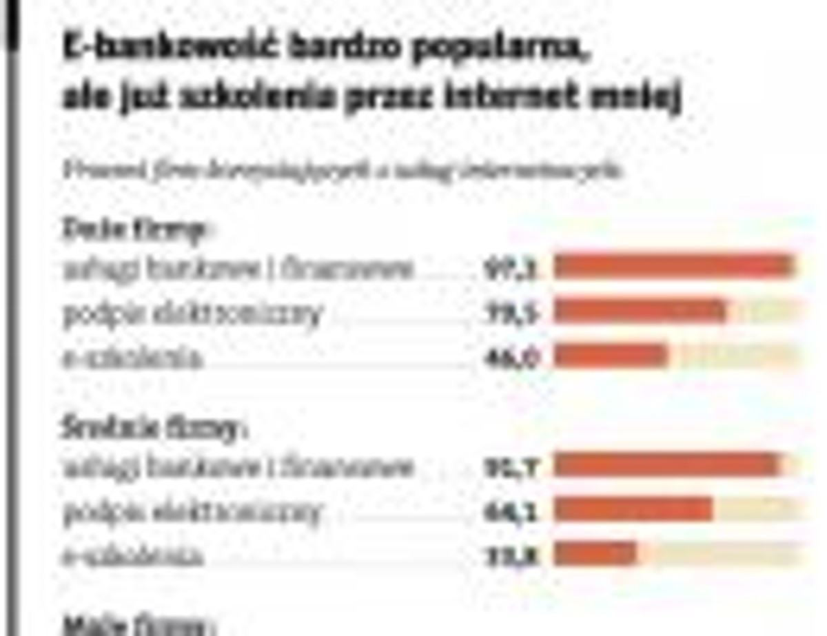 E-bankowość bardzo popularna, ale już szkolenia przez internet mniej